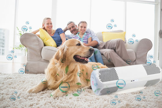 ABS-Luftdesinfektionsmittel mit Schimmelkrankheit töten H1N1-Grippeviren Bakterien Pilze OEM/ODM