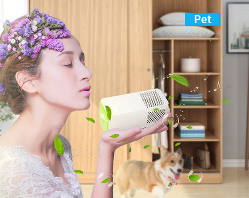 Luftreiniger für kleine Räume, Toiletten, Küchen, perfekt zum Entfernen von Allergenen, Pollen und Gerüchen