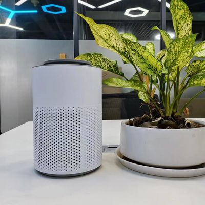 Elektrische Plasma-Purluftreiniger für Schreibtisch, tragbarer Plasmasterilisator mit Kinderverschluss