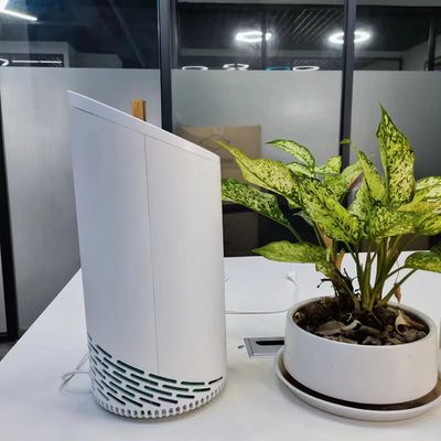 220-Volt-HEPA-Haustiergeruchsfilter mit kaltem Plasma-Aktivkohlenstofffilter und privatem Schimmel