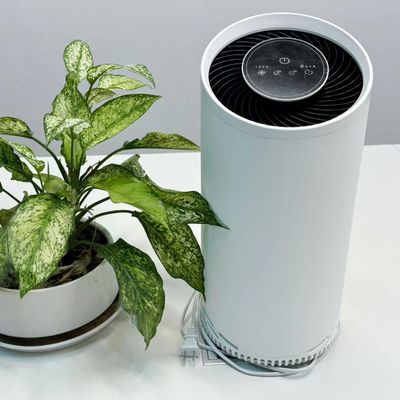 HEPA-Kaltplasma-Luftreiniger mit Aktivkohlenstofffilter 36 W Max Leistung 220 V Spannung