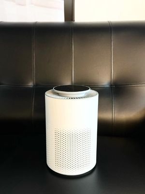 Atmen Sie gesund HC10 HEPA-Filtrationssystem tragbar mit leisen Betrieb