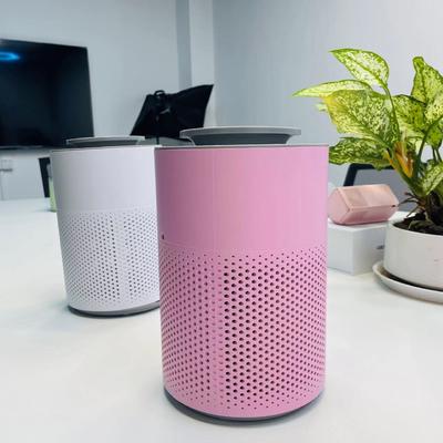 HC10 Hepa Raumluftreiniger mit Timer und Lösung für eine gereinigte Wohnumgebung für Bereiche von 3-10 m²