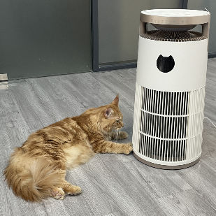 VDETTE HP01 Ozon HEPA Luftreiniger mit Timer 220V Weiß